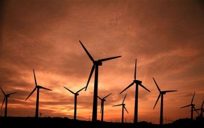 wind-farm_1882864b
